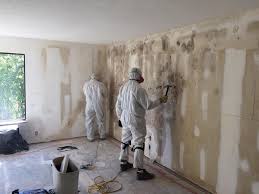 Reliable Belton, SC Mold Prevention & Removal  Solutions